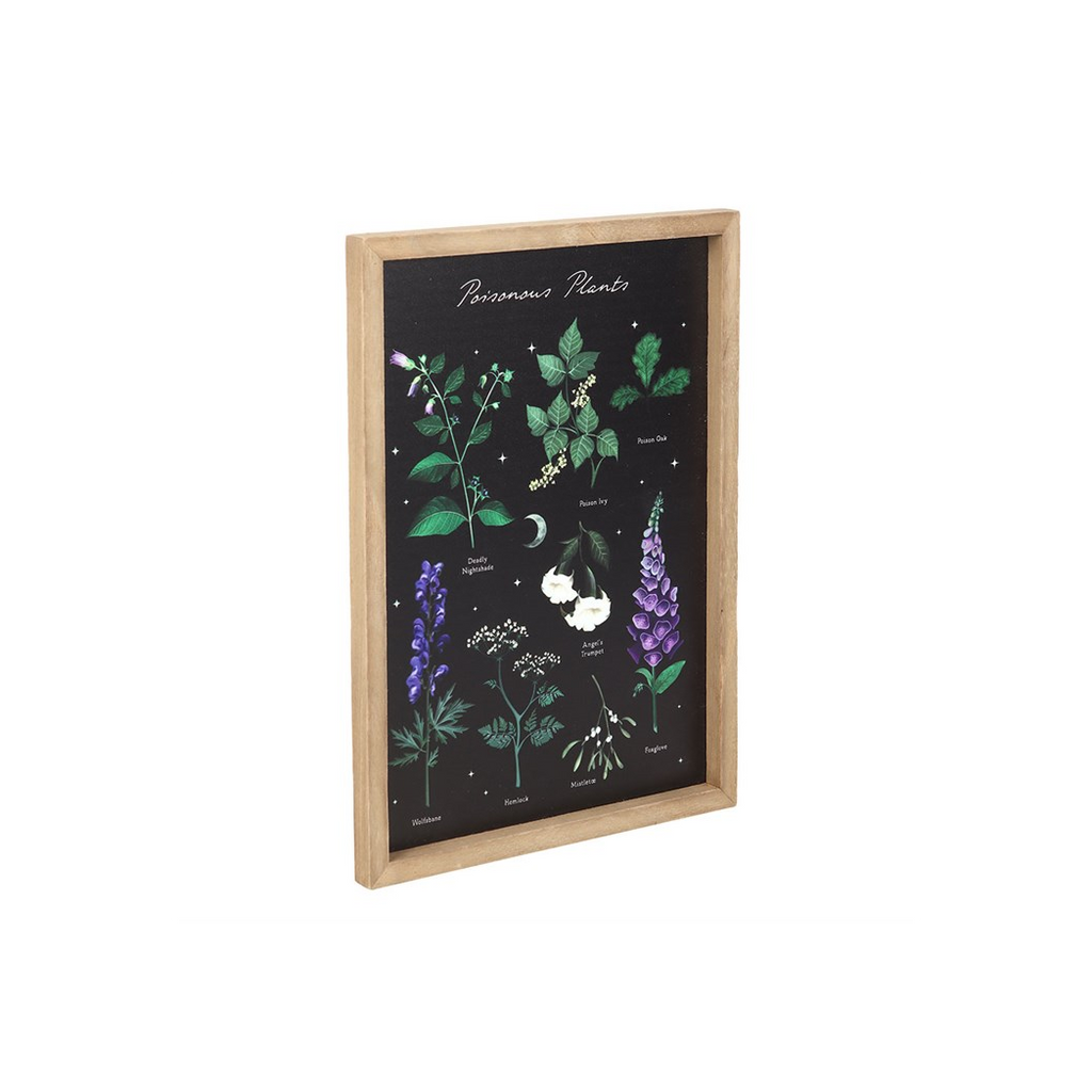 Poisonous Plants Framed Wall Art Print