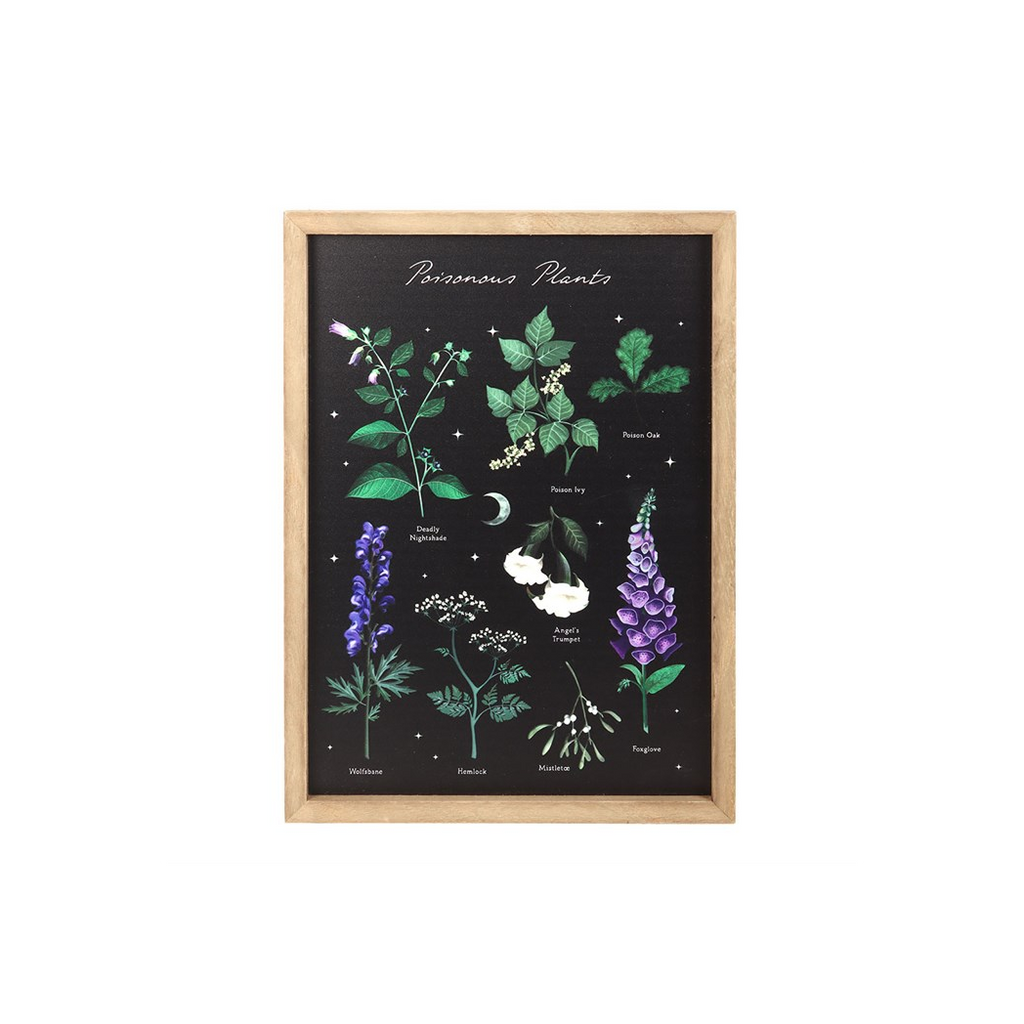 Poisonous Plants Framed Wall Art Print